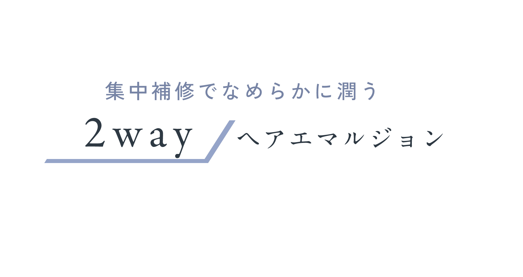 集中補修でなめらかに潤う 2way ヘアエマルジョン