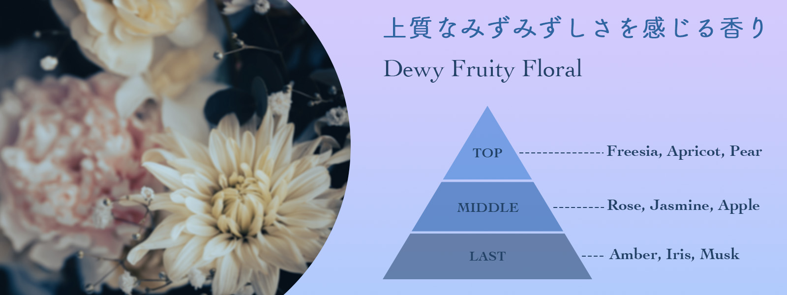 商品のイメージ